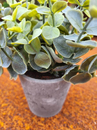 Preview: Topfpflanze Eukalyptus, grau (künstlich)