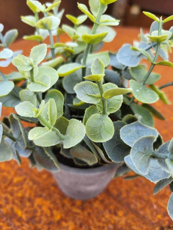 Preview: Topfpflanze Eukalyptus, grau (künstlich)