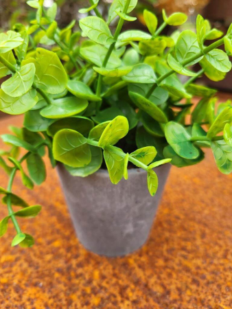 Preview: Topfpflanze Eukalyptus, grün (künstlich)