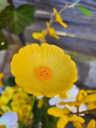 Preview: Topfstecker Blüte Carina, Polyresin, 3 Farben