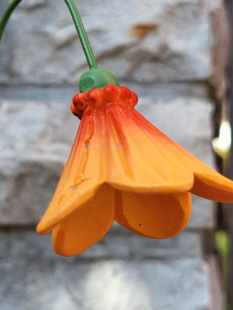 Topfstecker Blüte Noelia, Polyresin, 3 Farben