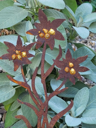 Preview: Edelrost Topfstecker Edelweiß, 3 Blüten