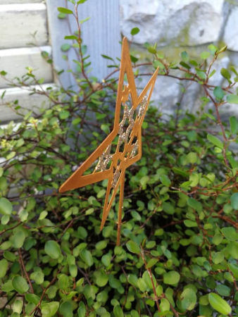 Topfstecker Stern Jak, Rost-Goldglitzer