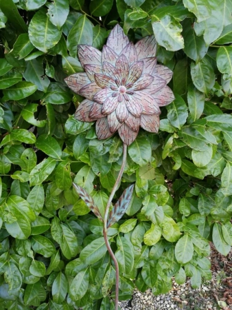 Blume Blossom, Vintage