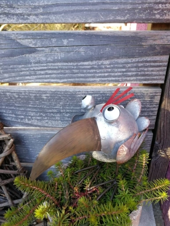 Zink Vogel Crazy Bird Chip