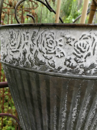 Preview: Zink Wandeimer Augusto