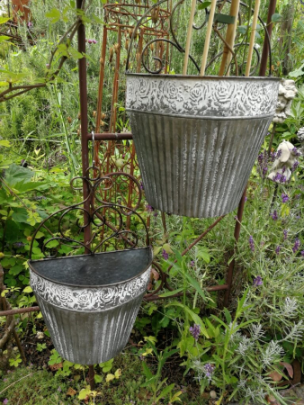 Preview: Zink Wandeimer Augusto