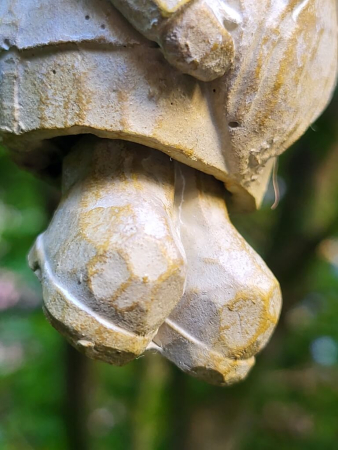 Preview: Weihnachtswichtel mit Vogel mitte, natur, Polyresin