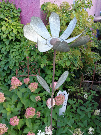 Zinkblume Lena, dreizackige Blätter