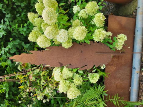 Preview: Edelrost Zypresse geschlossen 120 cm, zum Stecken