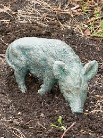 Bronzeskulptur Frischling Kopf nach rechts