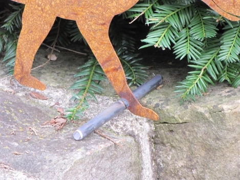 Edelrost Fuchs auf Querstange