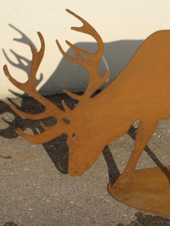 Edelrost Hirsch fressend auf Platte