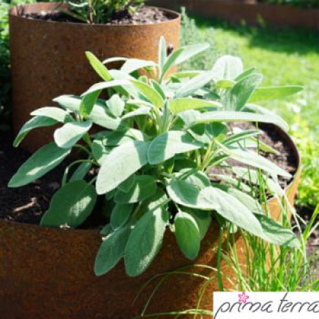 Preview: Edelrost Pflanzpyramide Prima Terra, rund, 80 cm