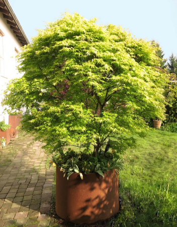 Preview: Edelrost Pflanzring mit Boden, 40 cm Durchmesser