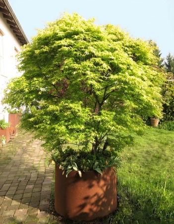 Edelrost Pflanzringe mit Boden 60 cm