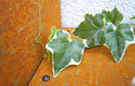 Preview: Edelrost Kaminholzregal Bausatz Prima Terra