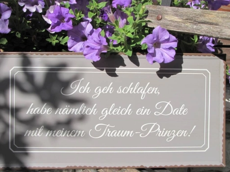 Shabby Chic Metallspruchschild Traumprinz