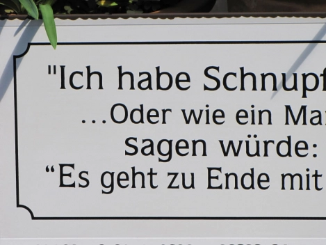 Shabby Chic Metallspruchschild Schnupfen