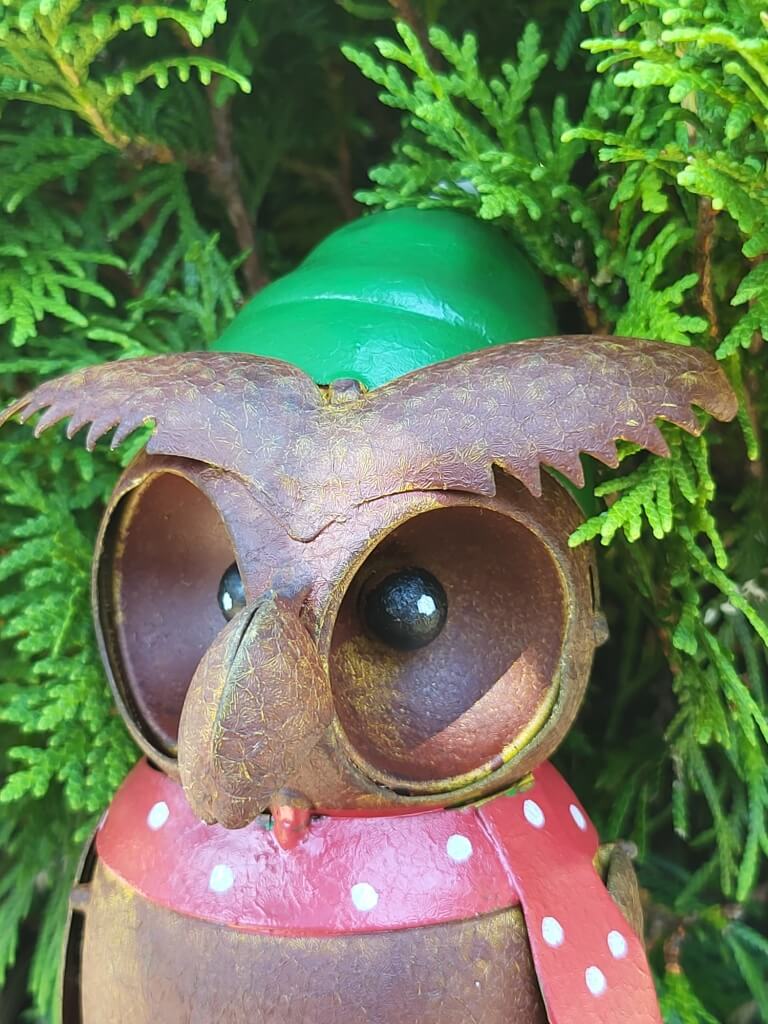 Eule Eule Gufo, grüne Mütze, zum Stellen - Angels Garden Dekoshop