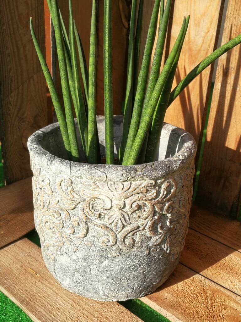 Pflanztopf Marling aus Zement, grau - Angels Garden Dekoshop