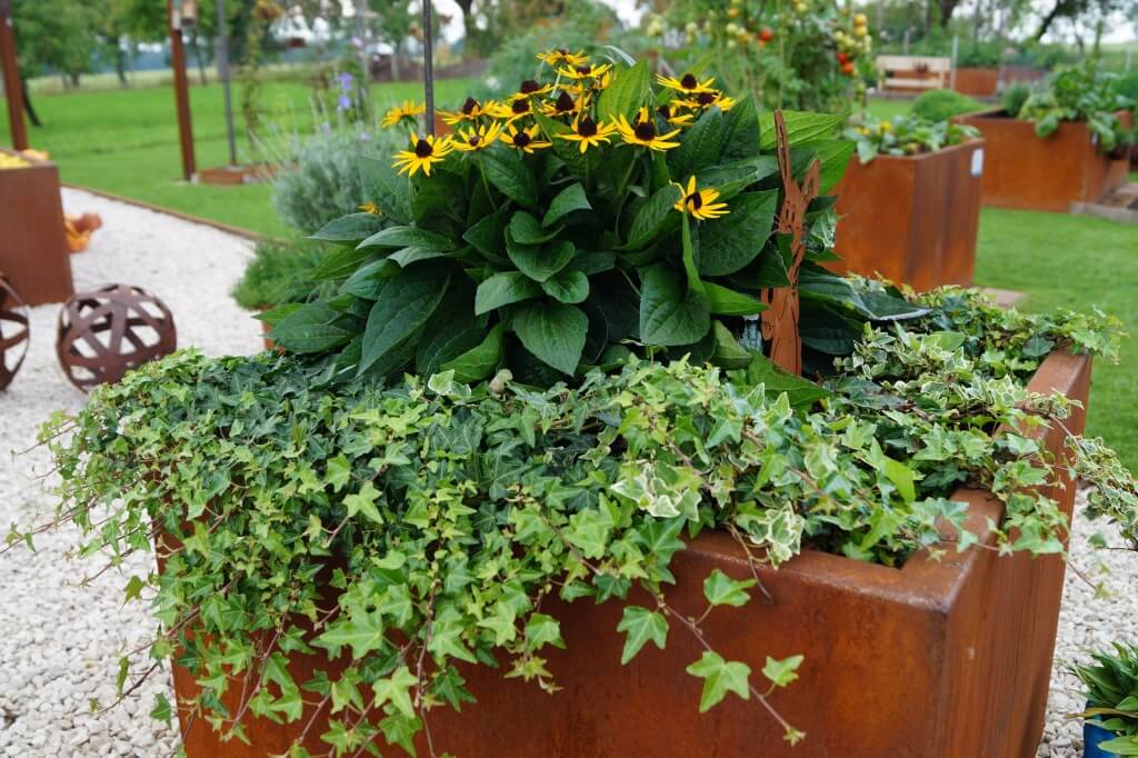 Edelrost Hochbeet Bausatz Prima Terra, Breite 73 cm ...