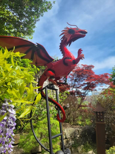 XXL Drache rot, wippend