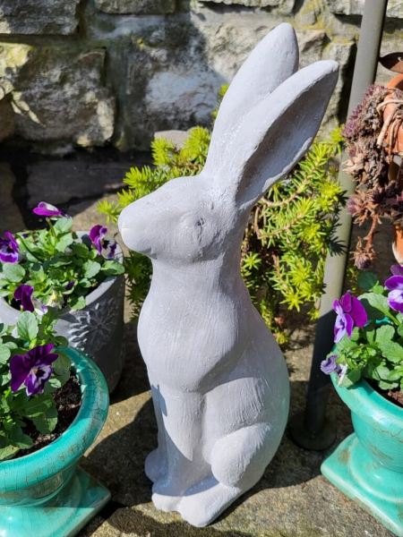 Zement Hase Hoppel, Blick nach vorne