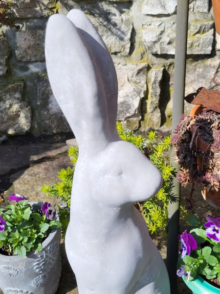 Zement Hase Krümel, Blick zur Seite