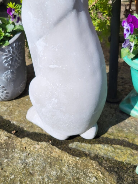 Zement Hase Krümel, Blick zur Seite