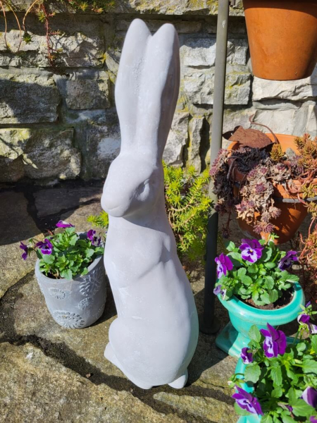 Zement Hase Krümel, Blick zur Seite