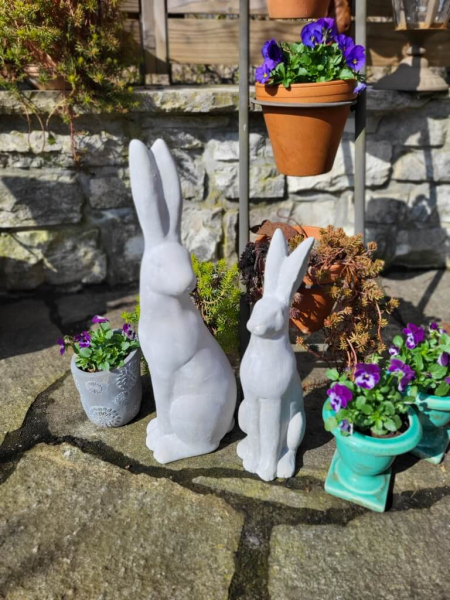 Zement Hase Hoppel, Blick nach vorne
