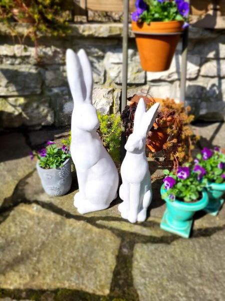 Zement Hase Krümel, Blick zur Seite