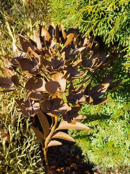Edelrostoptik Blume Belle