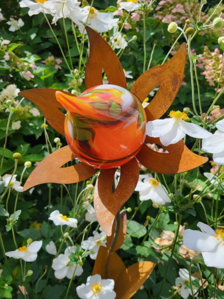Edelrost Blume Nesra, Zwiebelblüte, Orange