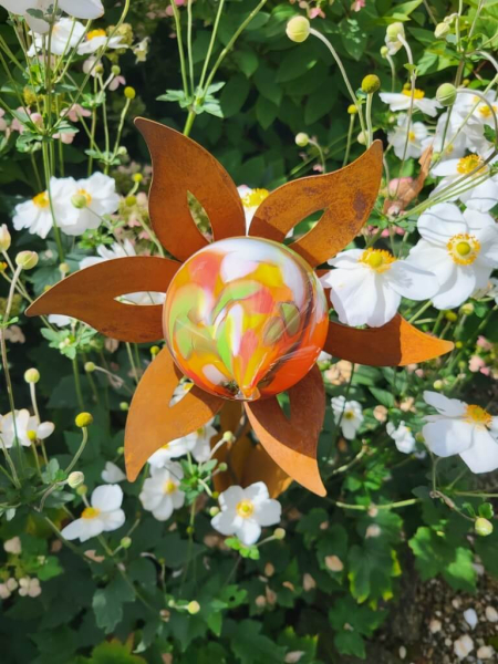 Edelrost Blume Nesra, Zwiebelblüte, Orange