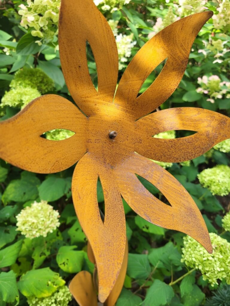 Edelrost Blume Nesra, Zwiebelblüte, Orange