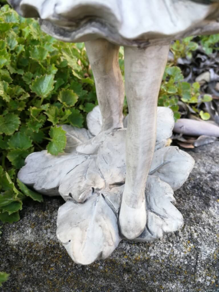 Blumenfee Akelei