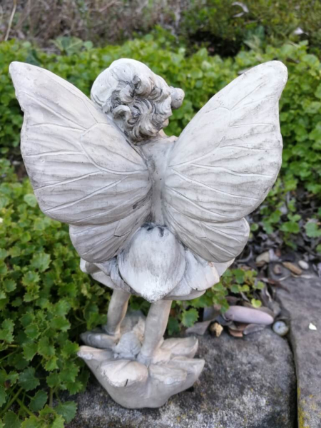 Blumenfee Akelei
