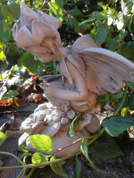 Blumenfee Heilkraut