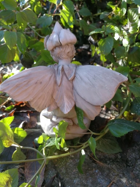 Blumenfee Heilkraut