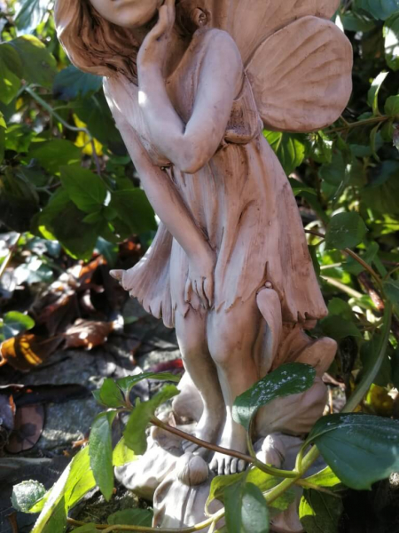 Blumenfee Schwertlilie