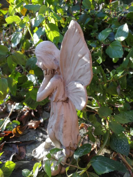 Blumenfee Schwertlilie