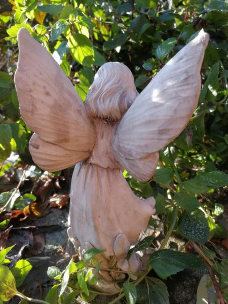 Blumenfee Schwertlilie