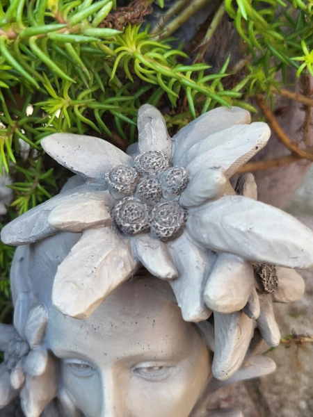 Blumenkind Edelweiss aus Resin