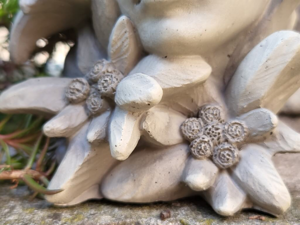Blumenkind Edelweiss aus Resin