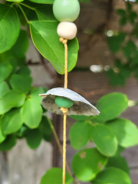 Boho-Hänger Modell B, Natur-Grün, Treibholz, Muscheln