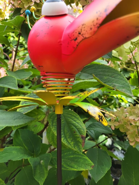 Hippie Stecker Papagei Daisy, pink