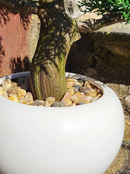 Bonsai Konifere im Topf (künstlich)