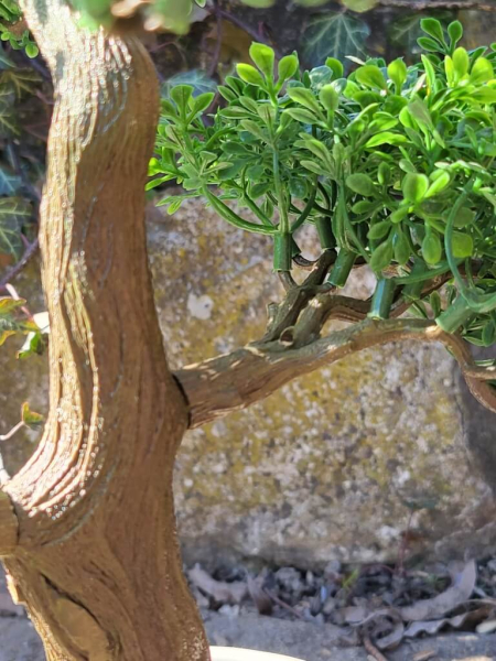 Bonsai Laubbaum im Topf (künstlich)